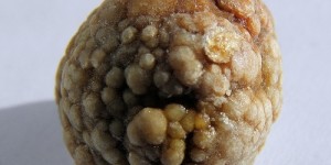 Beitragsbild des Blogbeitrags Die bittere Galle und wie man ihr natürlich helfen kann