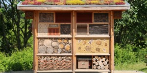 Beitragsbild des Blogbeitrags Insektenhotel – wie sie der Natur etwas zurückgeben können 
