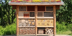 Beitragsbild des Blogbeitrags Insektenhotel – wie sie der Natur etwas zurückgeben können
