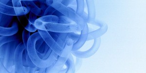 Beitragsbild des Blogbeitrags Viruserkrankungen mit Naturheilkunde bekämpfen und vorbeugen