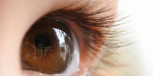 Beitragsbild des Blogbeitrags Sehstörungen und Augenerkrankungen natürlich lindern und heilen