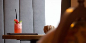 Beitragsbild des Blogbeitrags Darwin’s Salzburg: Café und Bar