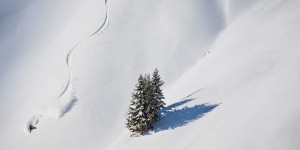 Beitragsbild des Blogbeitrags Freeriden lernen in Saalbach