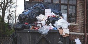 Beitragsbild des Blogbeitrags [Werbung] Green WG-Challenge: Mit dem Welt retten anfangen 