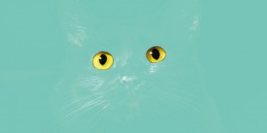 Beitragsbild des Blogbeitrags Eventtipp: Junge Literatur feiern beim mosaik Fest 