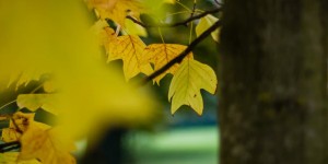 Beitragsbild des Blogbeitrags 10 Dinge, die ihr diesen Herbst in Salzburg tun solltet