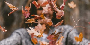 Beitragsbild des Blogbeitrags Salzburgs schönste Herbstspaziergänge 