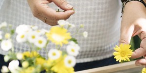 Beitragsbild des Blogbeitrags Noch 20 Tage: Fräulein Grün Kräuter-Package