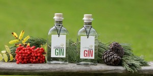 Beitragsbild des Blogbeitrags Noch 6 Tage: Gin-Set vom Mandlberggut