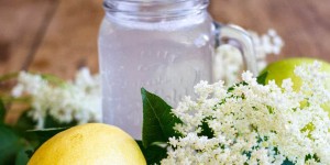 Beitragsbild des Blogbeitrags Fräulein Floras Street Kitchen: Hollersaft