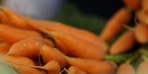 Beitragsbild des Blogbeitrags 10 Obst- und Gemüsebauern aus Salzburg