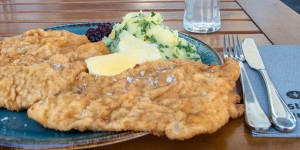 Beitragsbild des Blogbeitrags Gasthaus Hinterbrühl: Neue Gesichter und Neueröffnung 