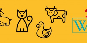 Beitragsbild des Blogbeitrags Salzburgerisch-Deutsch: Tiere