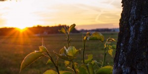 Beitragsbild des Blogbeitrags 10 Dinge, die ihr diesen Sommer in Salzburg machen solltet