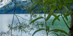 Beitragsbild des Blogbeitrags Salzburgs schönste Gratis-Badeplätze