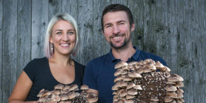 Beitragsbild des Blogbeitrags Flachgauer Biopilze: Der Schwammerlguru aus Obertrum