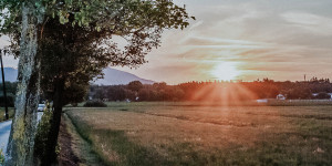 Beitragsbild des Blogbeitrags 10 Dinge, auf die wir uns 2021 freuen können