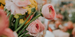Beitragsbild des Blogbeitrags Neu: Die Bindestelle Meisterfloristik ist jetzt im Andräviertel