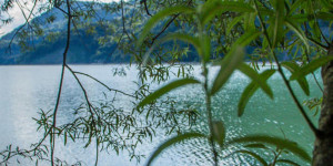 Beitragsbild des Blogbeitrags Salzburgs schönste Gratis-Badeplätze