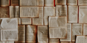 Beitragsbild des Blogbeitrags Lesen und lesen lassen bei den Salzburger Buchtagen 2021