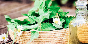 Beitragsbild des Blogbeitrags Street Kitchen: Kochen mit Frühlingskräutern