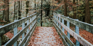 Beitragsbild des Blogbeitrags Salzburgs schönste Herbstspaziergänge 