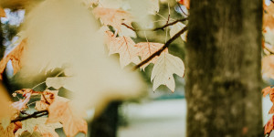 Beitragsbild des Blogbeitrags 10 Dinge, die ihr diesen Herbst in Salzburg tun solltet