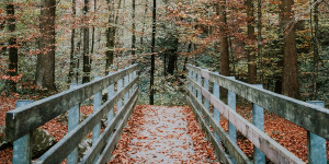 Beitragsbild des Blogbeitrags Salzburgs schönste Herbstspaziergänge 