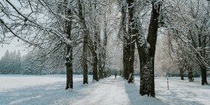 Beitragsbild des Blogbeitrags Winterspaziergänge in und um Salzburg