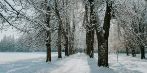 Beitragsbild des Blogbeitrags Winterspaziergänge in und um Salzburg 