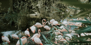 Beitragsbild des Blogbeitrags 10 nostalgische Orte, die du kennst, wenn du in Salzburg aufgewachsen bist