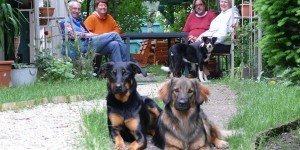 Beitragsbild des Blogbeitrags Magermodel