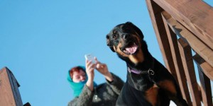 Beitragsbild des Blogbeitrags ich liebe sie, ich liebe sie nicht, ich….