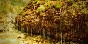 Beitragsbild des Blogbeitrags GPX Track: Triefen-Hinterthal (Pinzgau)