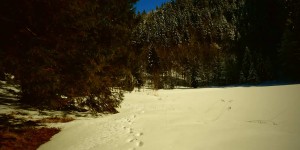 Beitragsbild des Blogbeitrags GPX Track zum Fiblingsee, Fibling (Fuschl bei Salzburg)