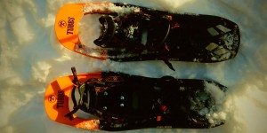 Beitragsbild des Blogbeitrags Schneeschuhwandern in Reit im Winkl (Winklmoosalm)