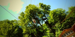 Beitragsbild des Blogbeitrags Radtour von Bergheim zum Hochseilpark Teufelsgraben in Seeham 