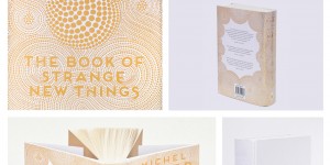 Beitragsbild des Blogbeitrags Review – The Book of Strange New Things by Michel Faber