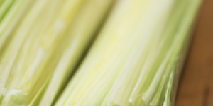 Beitragsbild des Blogbeitrags Lauchcremesuppe: Schnelles, einfaches und veganes Rezept
