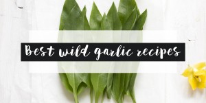 Beitragsbild des Blogbeitrags Best wild garlic recipes.