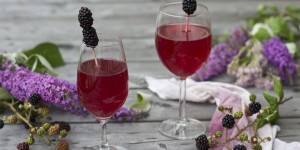 Beitragsbild des Blogbeitrags Blackberry shrub recipe