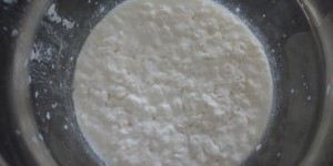 Beitragsbild des Blogbeitrags milchkefir selbstgemacht (sponsored)