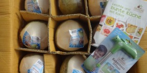 Beitragsbild des Blogbeitrags shakes mit frischem kokoswasser 