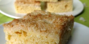 Beitragsbild des Blogbeitrags saftiger kokoskuchen 