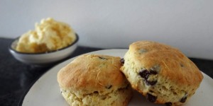 Beitragsbild des Blogbeitrags chocolate scones 