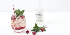 Beitragsbild des Blogbeitrags Raspberry Lemon Mint