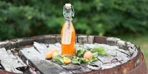 Beitragsbild des Blogbeitrags Marillensirup