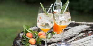 Beitragsbild des Blogbeitrags Marillen Spritzer