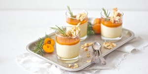 Beitragsbild des Blogbeitrags Semifreddo mit Marillen und Mandel-Rosmarinkrokant