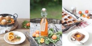 Beitragsbild des Blogbeitrags Die besten Marillen Rezepte 
